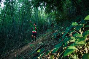 BIB: 
                            <button type="button" onclick="openModal(28125017)" class="btn btn-primary btn-sm float-right btn-popup" data-toggle="modal" data-target=".modal-high-quality">
                        <i class="fas fa-shopping-cart"></i> Add to Cart
                    </button>
                                            <button type="button" onclick="isThisMe(28125017, true)" class="btn btn-success btn-sm float-right btn-popup btn-isme hidden" data-toggle="tooltip" data-placement="bottom" title="นี่คือรูปของคุณใช่ไหม คลิกที่นี่เพื่อเอาเข้าอัลบั้ม">
                        <i class="fas fa-plus"></i> Add to album
                    </button>
                    <button type="button" onclick="isThisMe(28125017, false)" class="btn btn-warning btn-sm float-right btn-popup btn-isnotme hidden">
                        <i class="fas fa-ban"></i> Remove from album
                    </button>